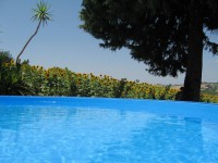 /album/la-casa-the-house/img-8127-jpg2/