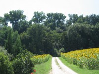 /album/la-casa-the-house/img-8116-jpg/