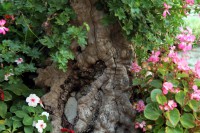 /album/i-dintorni/a835-jpg/