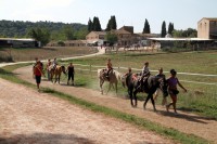 /album/i-dintorni/a855-jpg/