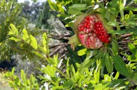 /album/i-dintorni/a882-jpg/