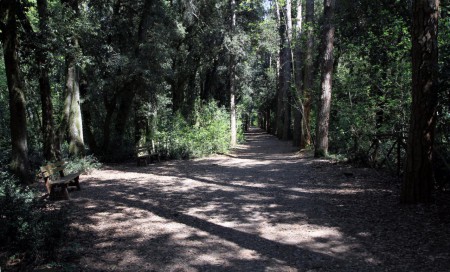 Abbadia di Fiastra (percorso a piedi)